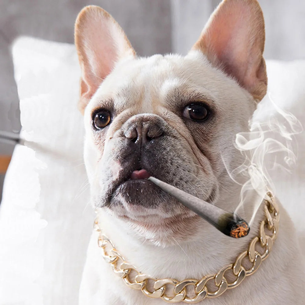 Luxury Dog Collar Gold Pet Necklace Dog Chain Choker for Pitbull Bulldog Teddy French Bulldog Metal Collar Pets Jewelry Products