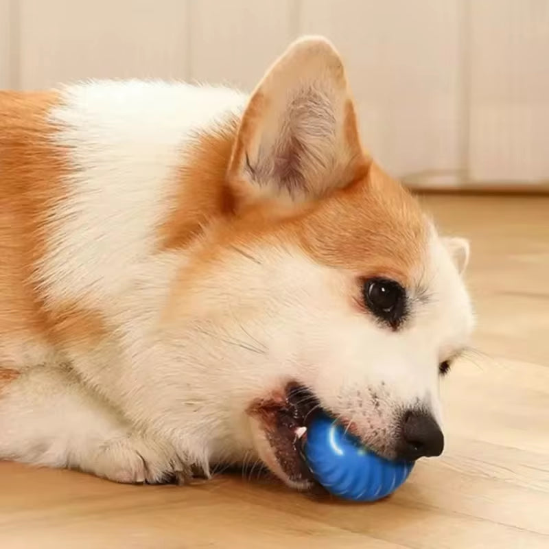 Dog Toy Ball Automatic Moving Bouncing Rolling Ball USB Smart Puppy Interactive Dog Chew Toy Ball